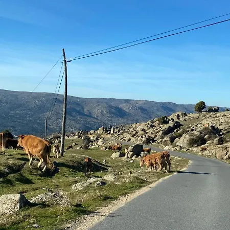 Casa de Férias Casa Pilares